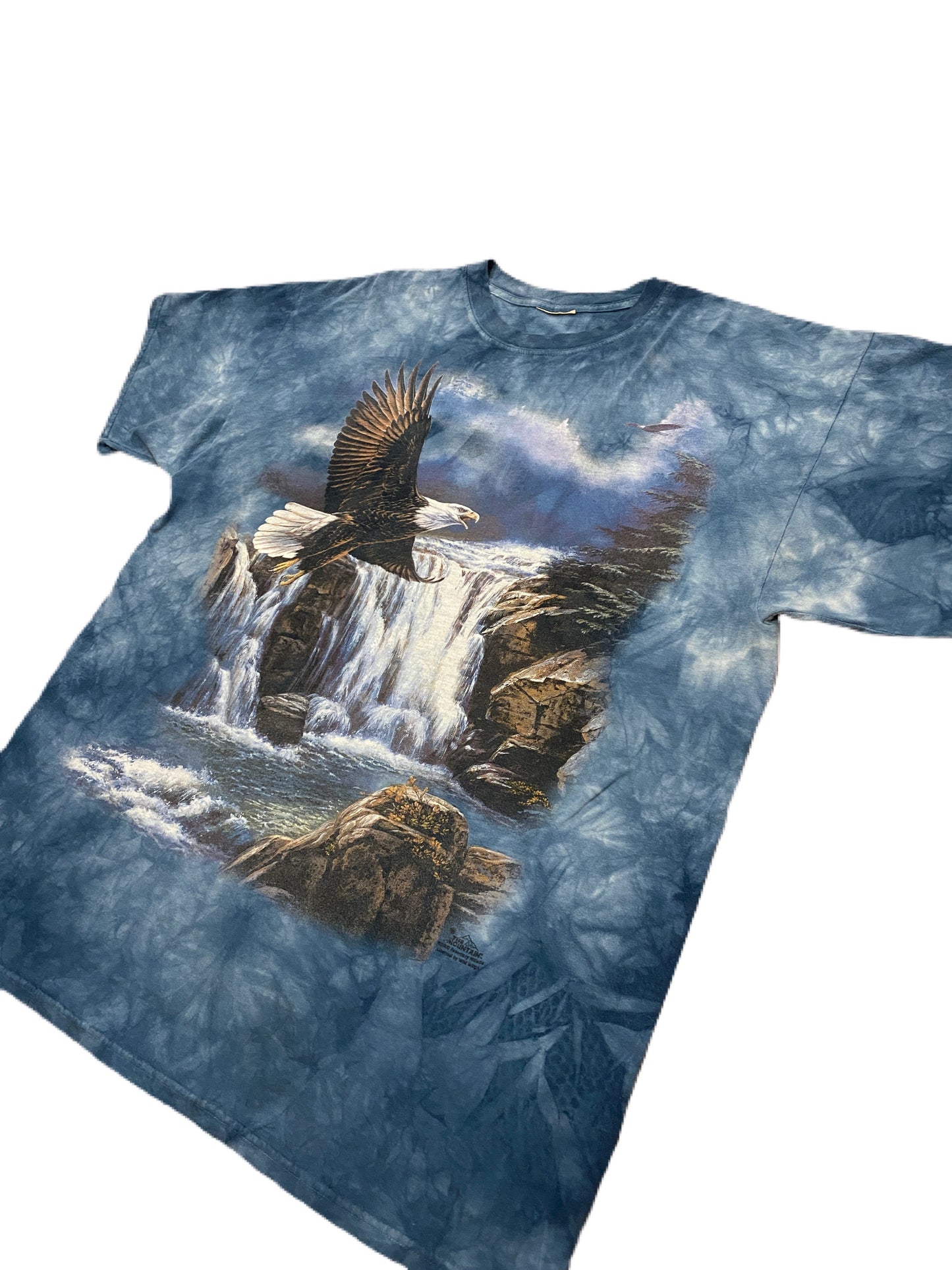 Vintage RARE eagle washed out t-shirt (XL-XXL)