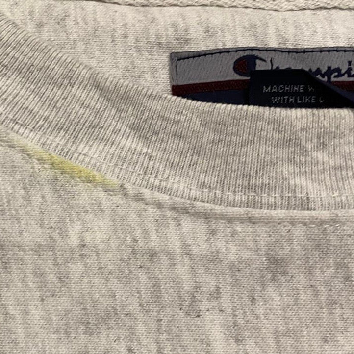 Champion Roger Williams University sweater (XL)