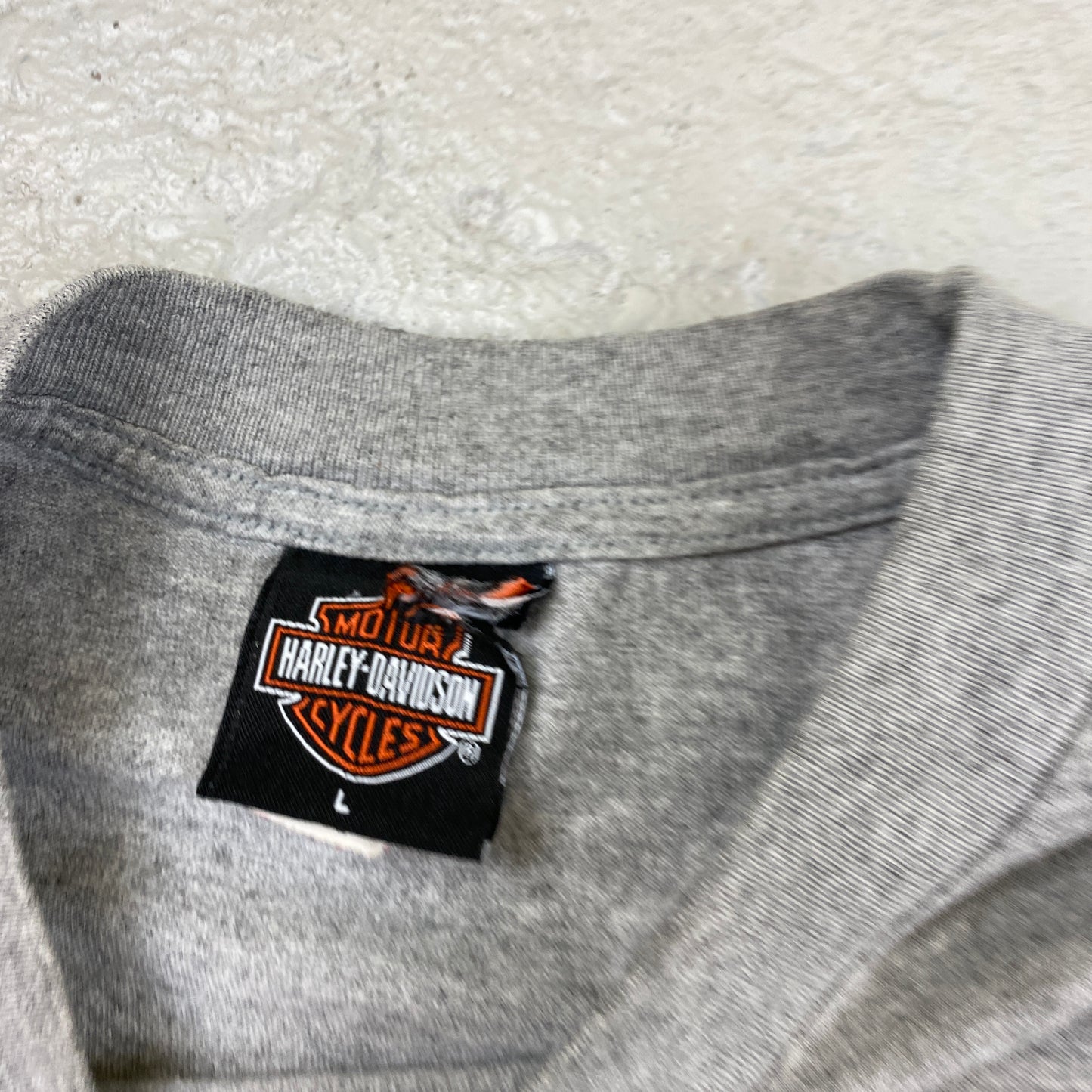 Harley Davidson RARE North Canton heavyweightt-shirt (L)