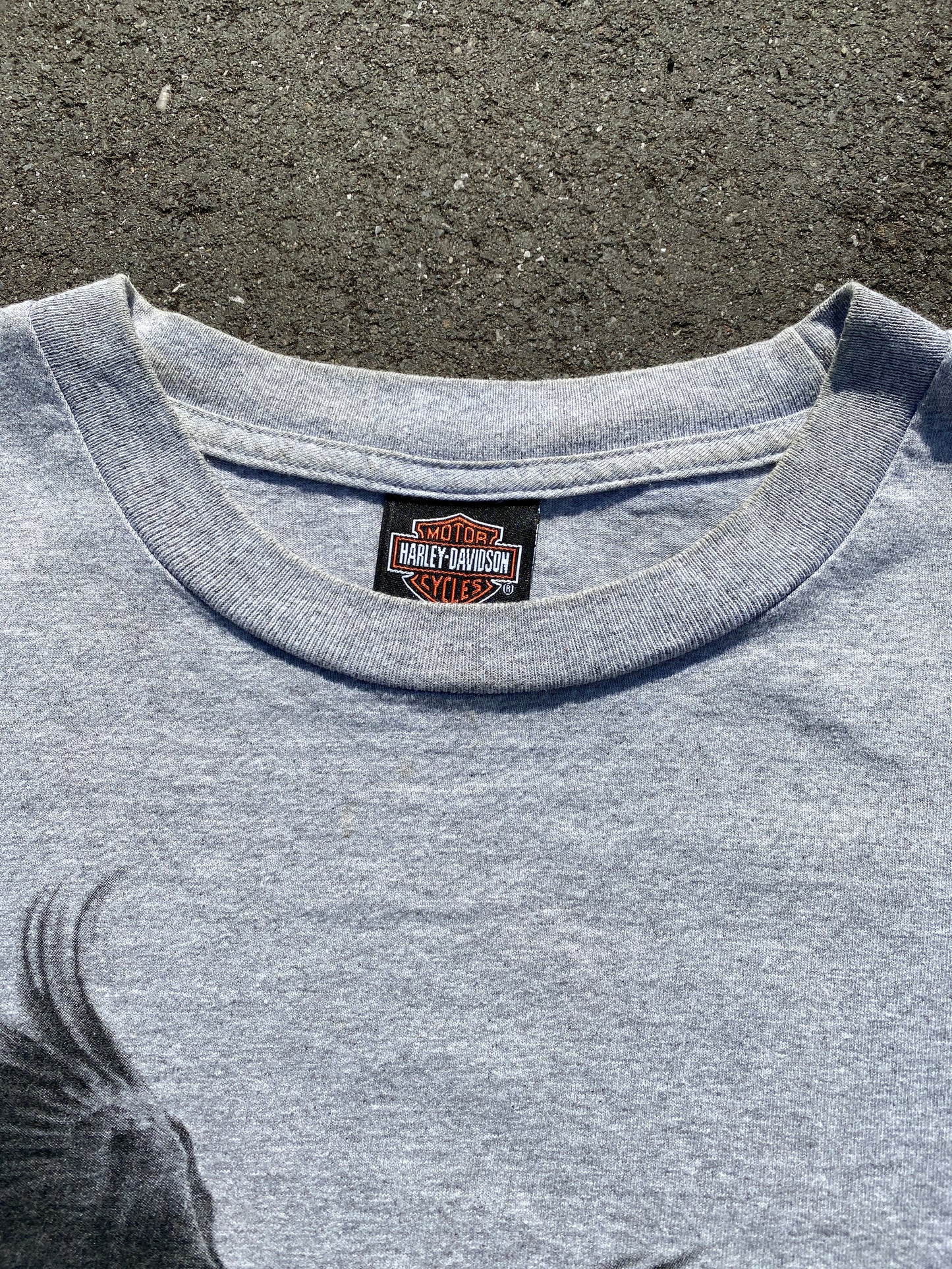 Harley Davidson Erie Pa t-shirt (M)