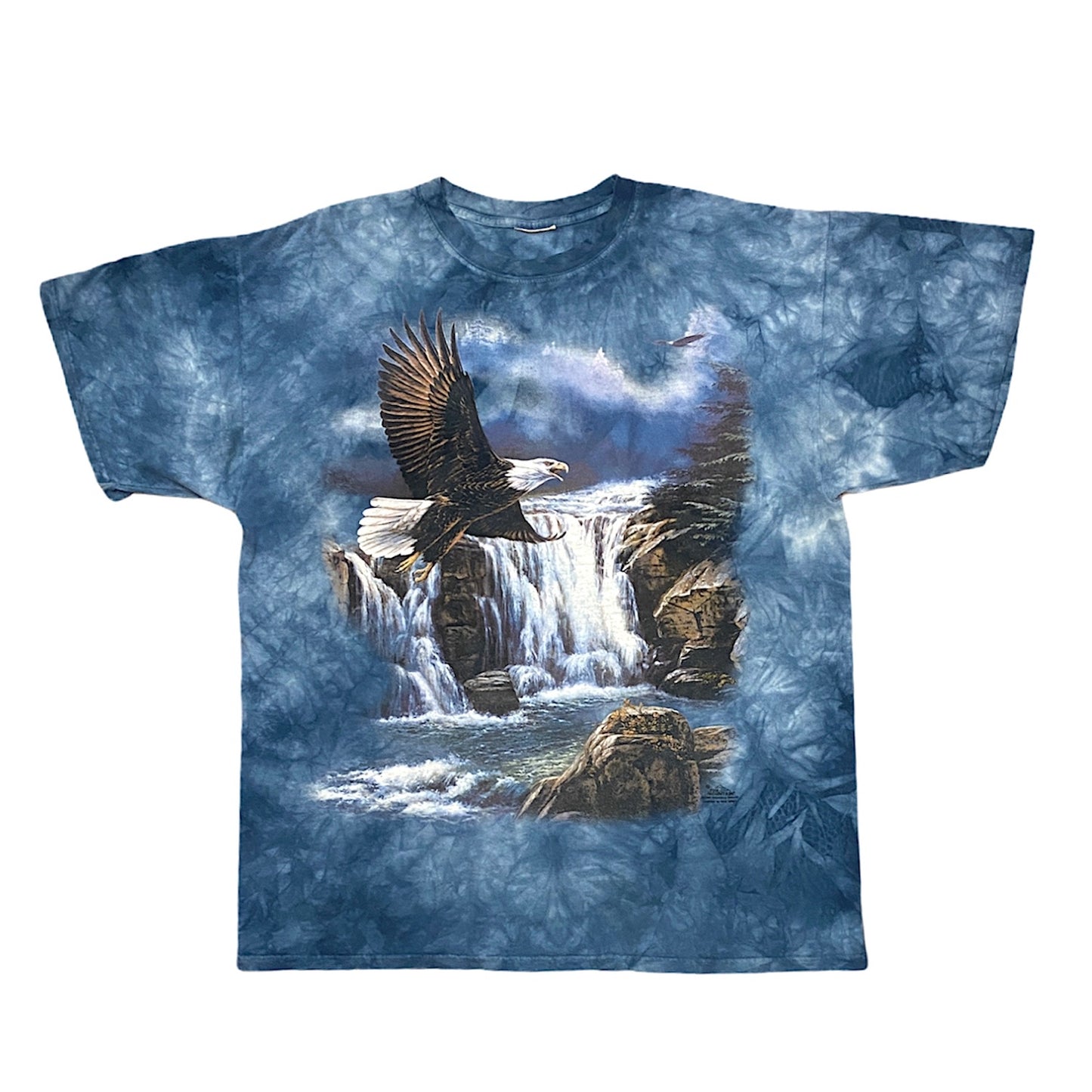 Vintage RARE eagle washed out t-shirt (XL-XXL)