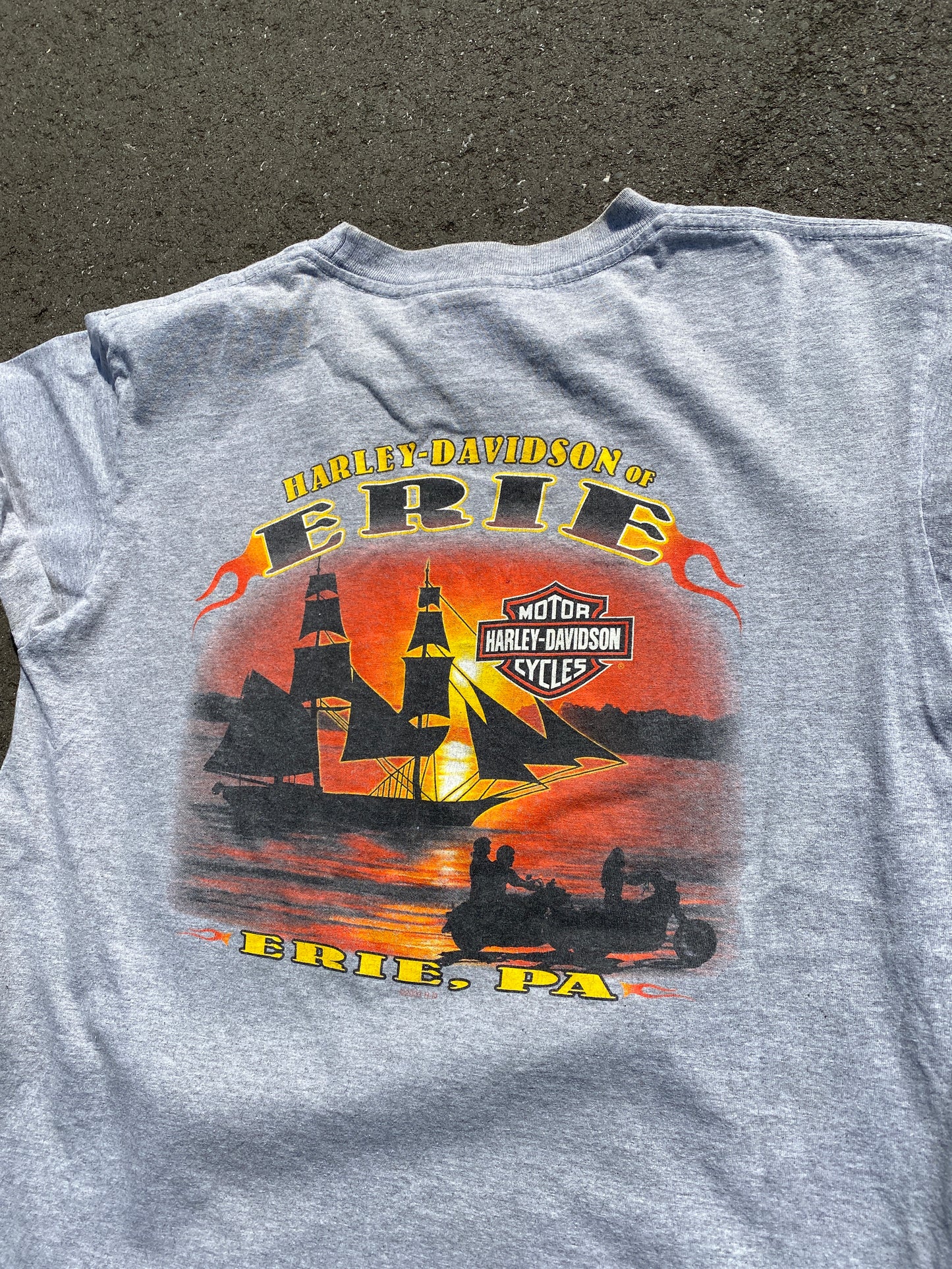 Harley Davidson Erie Pa t-shirt (M)