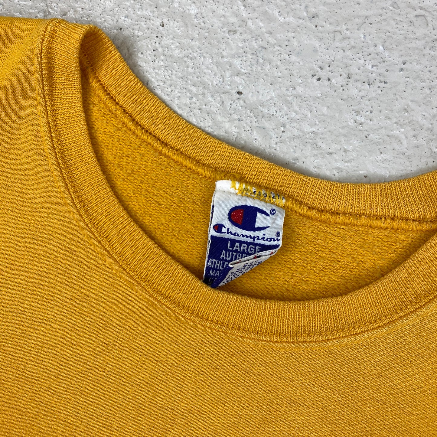 Champion sweater (S-M)