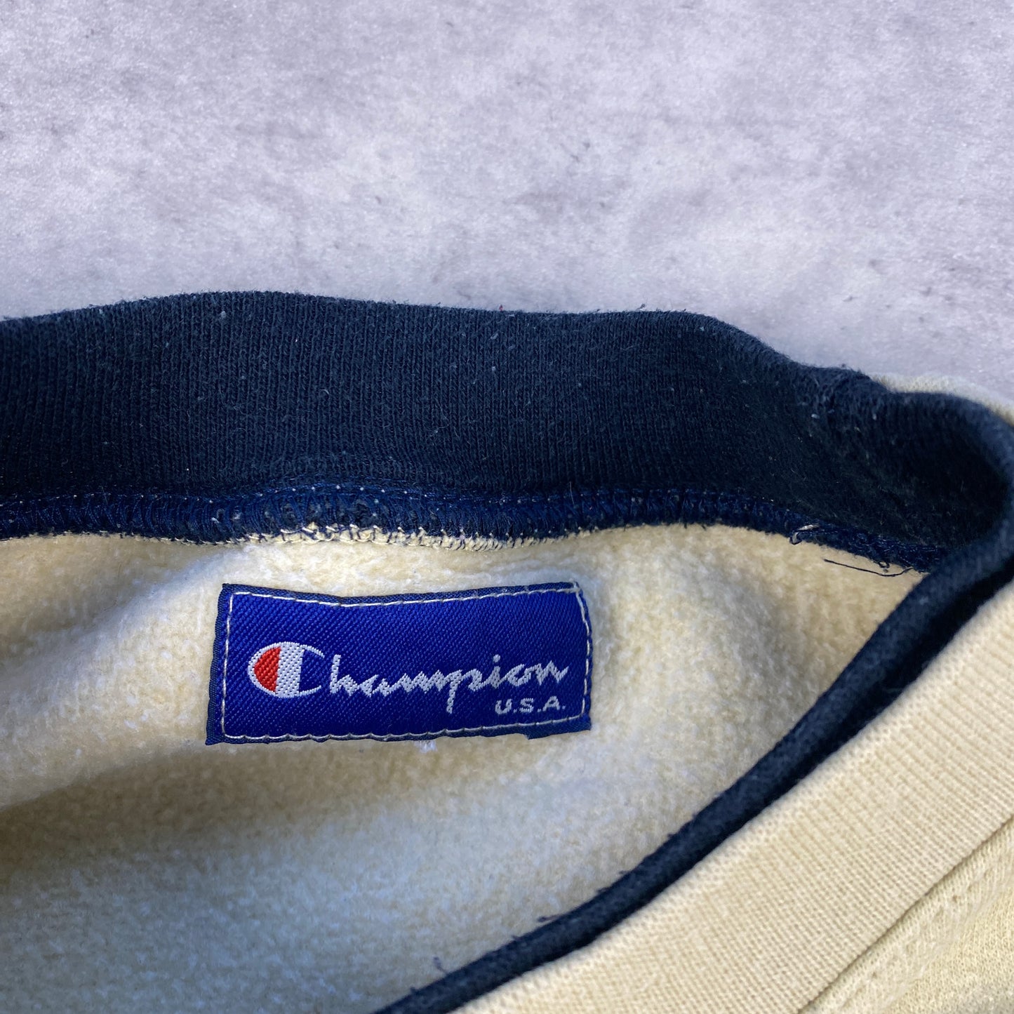 Champion RARE heavyweight sweater (L)