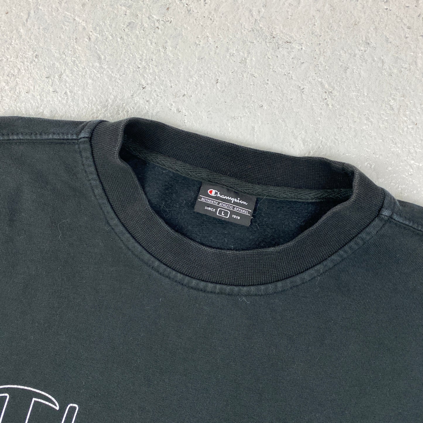 Champion sweater (L)