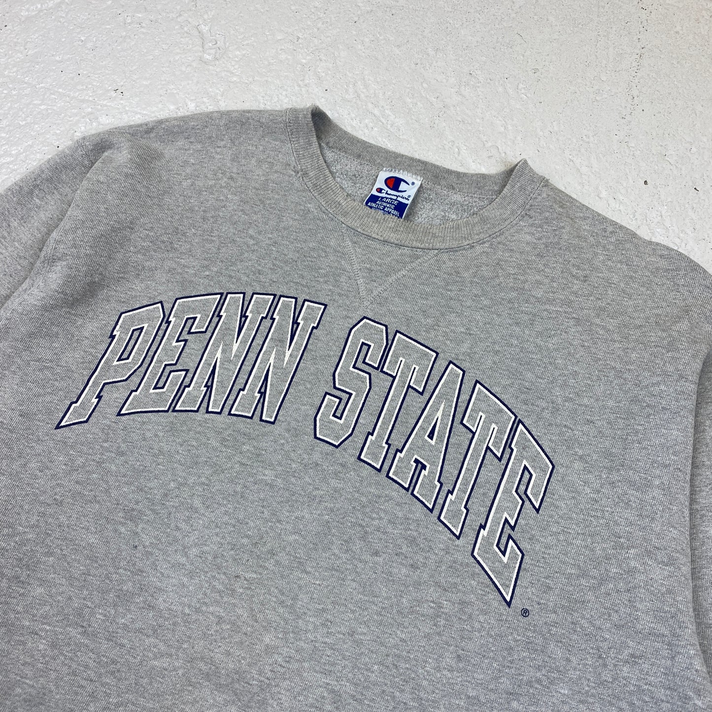 Champion Penn State sweater (M)