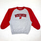 Wisconsin RARE heavyweight embroidered sweater (XL)