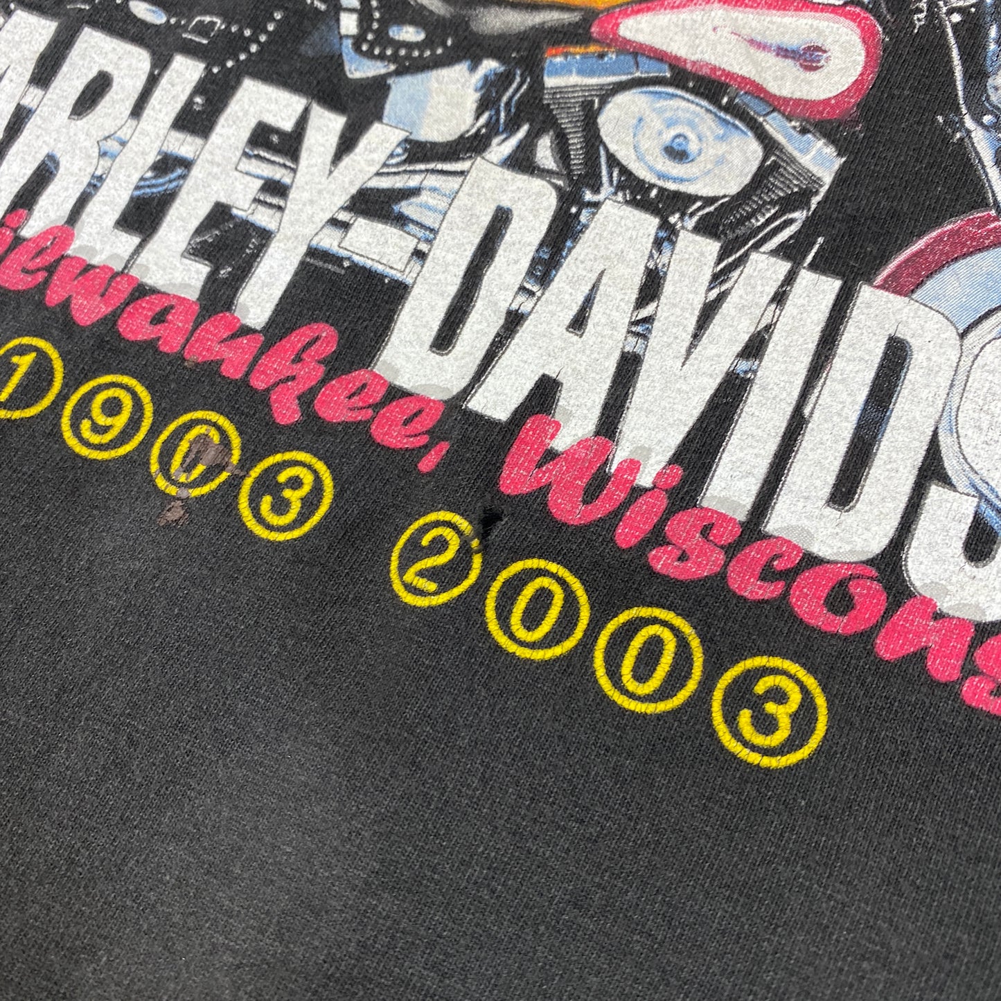 Harley Davidson RARE Milwaukee Wisconsin long sleeve shirt (L)
