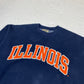 Illinois heavyweight sweater (M-L)