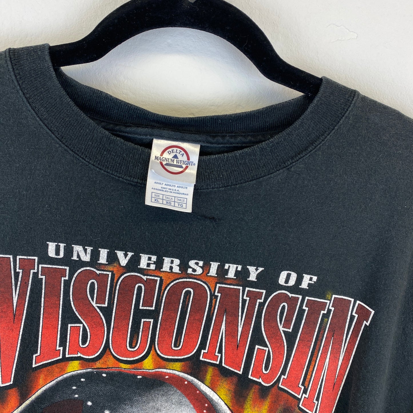 Wisconsin RARE heavyweight t-shirt (L)