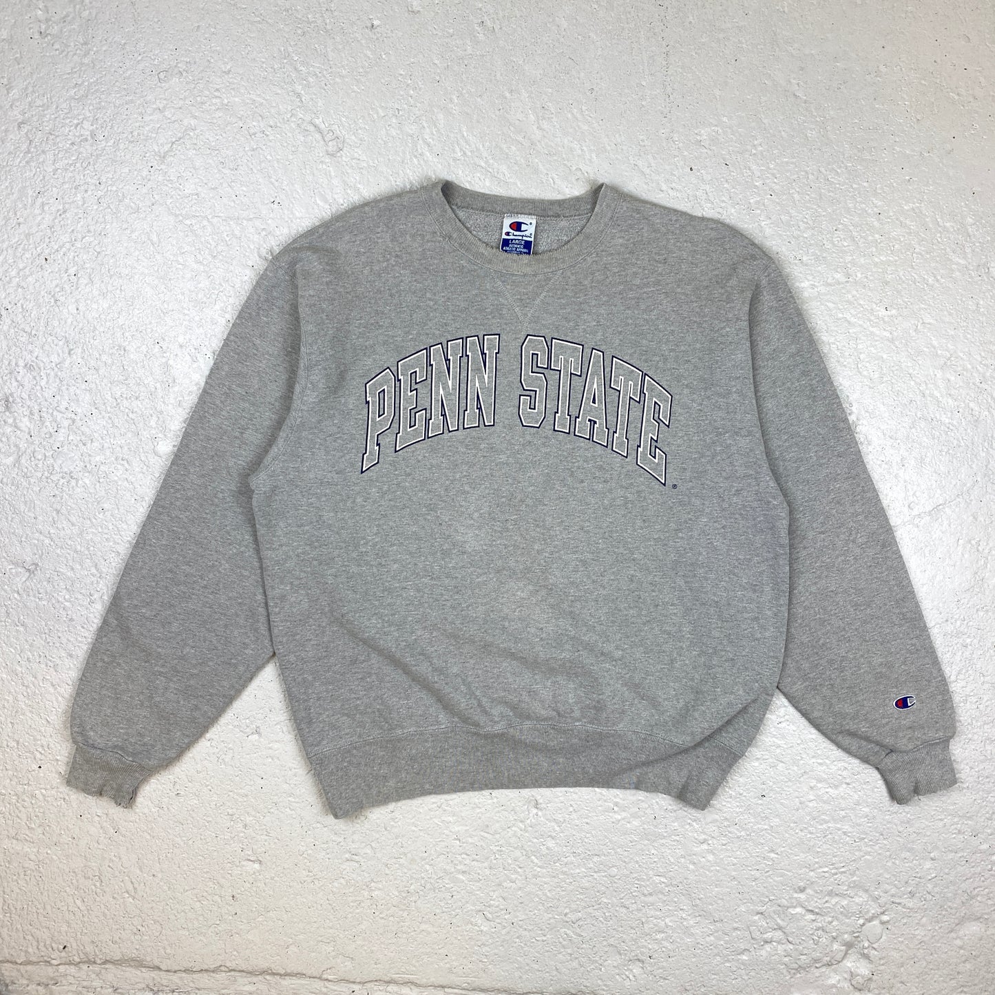 Champion Penn State sweater (M)